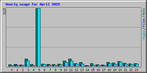 Hourly usage for April 2025