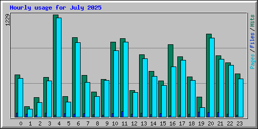 Hourly usage for July 2025