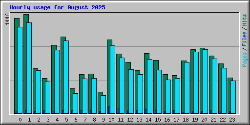 Hourly usage for August 2025