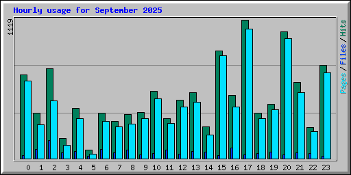 Hourly usage for September 2025