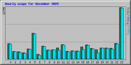 Hourly usage for December 2025
