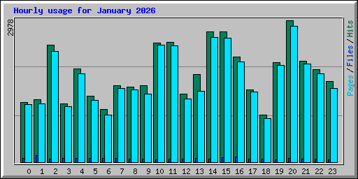 Hourly usage for January 2026
